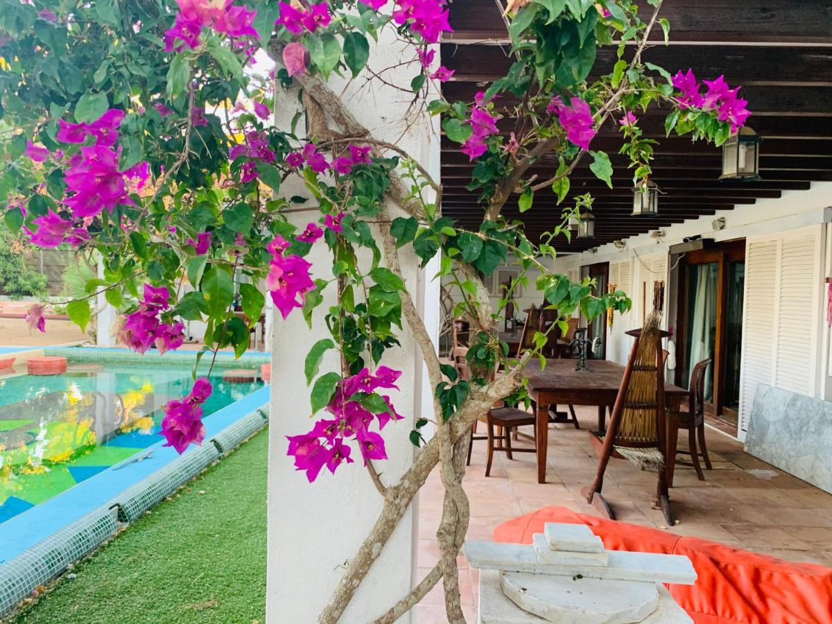 Bed and Breakfast Ibiza Paradise à Santa Eulària des Riu Extérieur photo